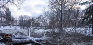 Cyclone Kirsti causes widespread damage, power outages in Latvia – PUNE.NEWS